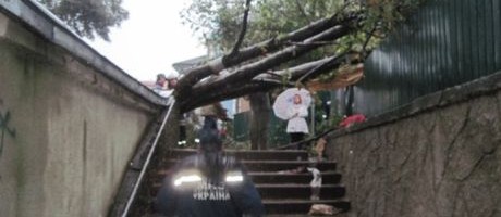 новини Львівщини