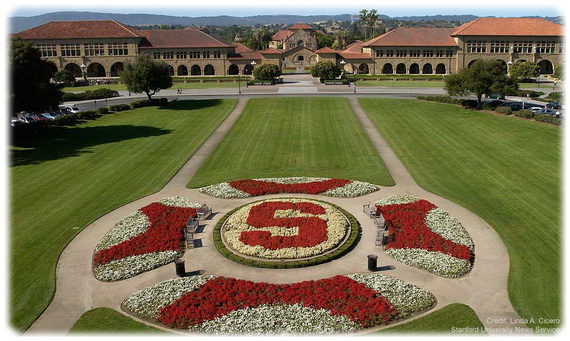Університет Стенфорд