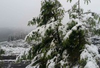 сніг в Карпатах