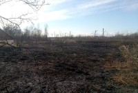 На Львівщині палій сухостою спалив сарай сусіда