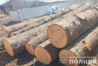У Бориславі поліцейські виявили немарковану деревину