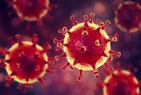 відсутність коронавірусу