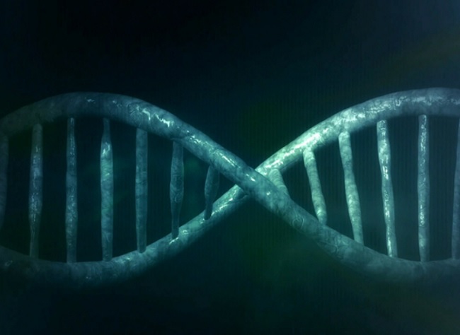 секрет генетичного безсмертя