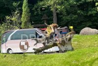 ДТП в Нагуєвичах на автобус впало велике дерево