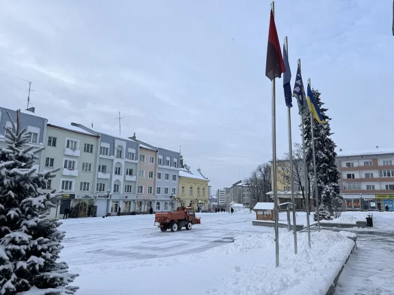 Дрогобицькі комунальники працюють над ліквідацією наслідків снігопаду