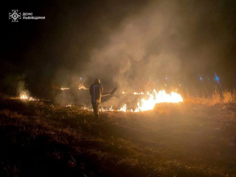 Масштаби вражають: 46 пожеж в екосистемах за одну добу